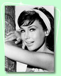 Photo of Barbara Eden